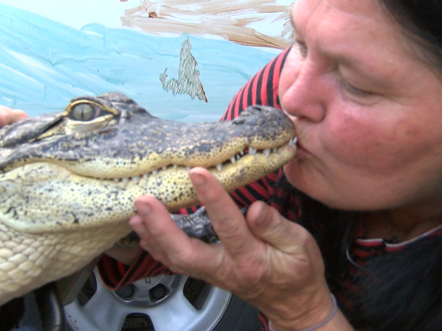 40 crazy gator photos from the last 2 years