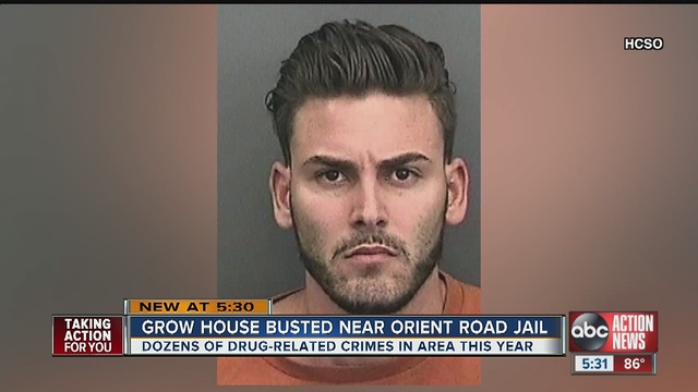 Grow house bust half mile from Orient Road Jail ...