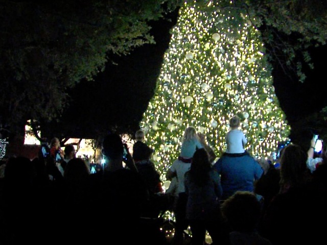 Holiday-themed events over Thanksgiving weekend in Tampa Bay