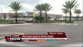 costco wesley chapel