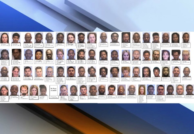 Manatee County Sheriff's Office arrested 75 people this year in undercover drug busts