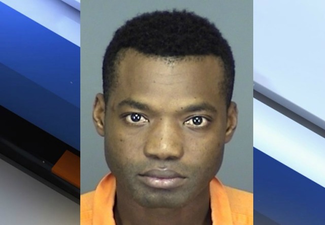 Sebring man facing record 525 child porn charges