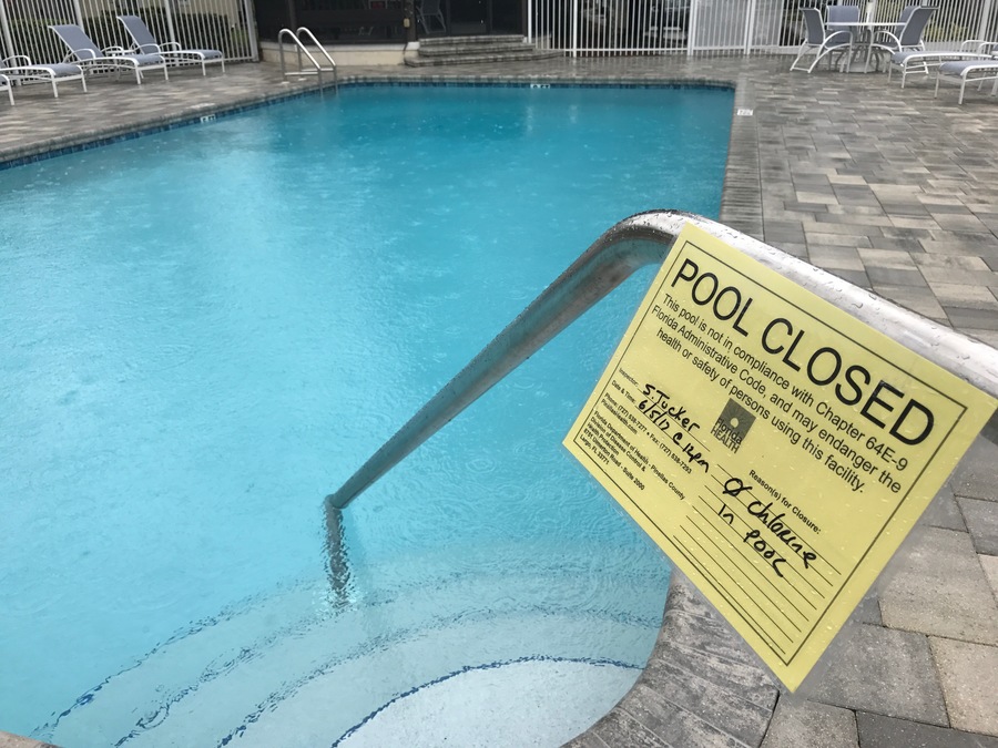 Gas Prices Tampa >> Nasty pool parasite found in Pinellas & Polk Co. pools ... Gas Prices Tampa >> Nasty pool parasite found in Pinellas & Polk Co. pools ...