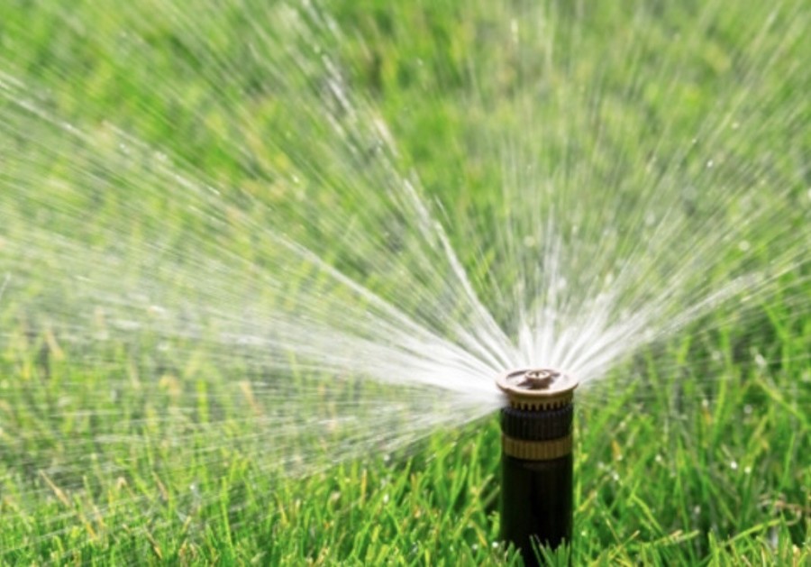 Lawn watering in Hillsborough Co. returns to twice a week starting