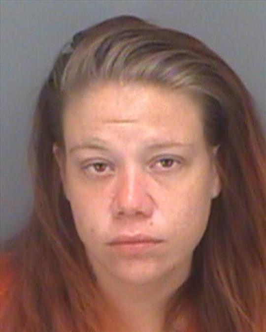 GALLERY 100+ mug shots from Tampa Bay for the weekend of 7/15