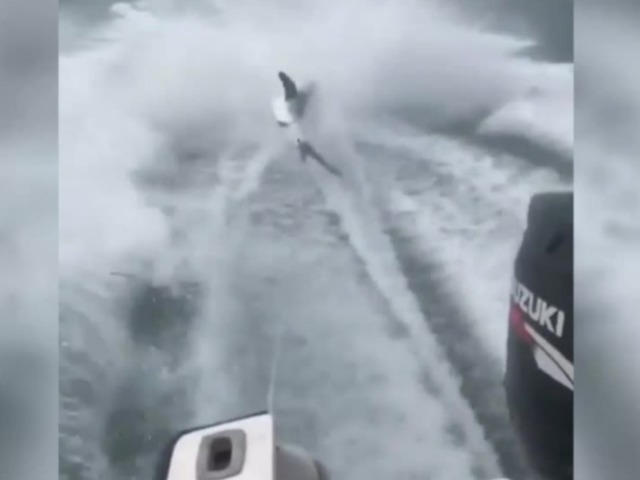 Men facing felony charges in connection with shark-dragging video Men facing felony charges in connection with shark-dragging video