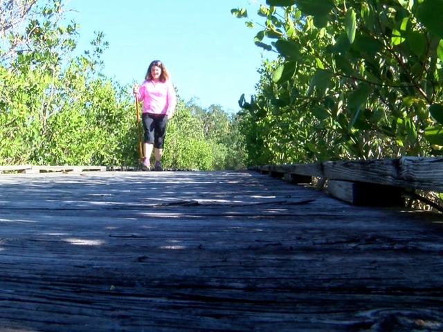 Free 'Hiking Spree' promotes health and wellness