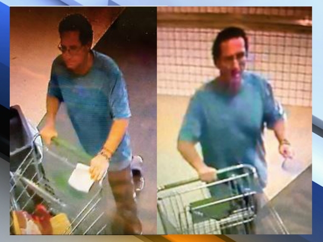 Man snatches woman's purse out of shopping cart at Publix, steals $100 in cash