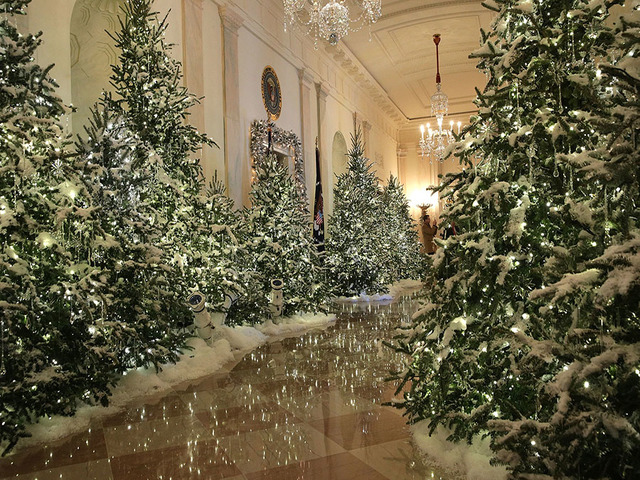 washington dc november 27 the cross hall at the white house during a press preview of the 2017 holiday decorations november 27 2017 in washington dc - Washington Dc Christmas Tree washington dc november 27 the cross hall at the white house during a press preview of the 2017 holiday decorations november 27 2017 in washington dc - Washington Dc Christmas Tree