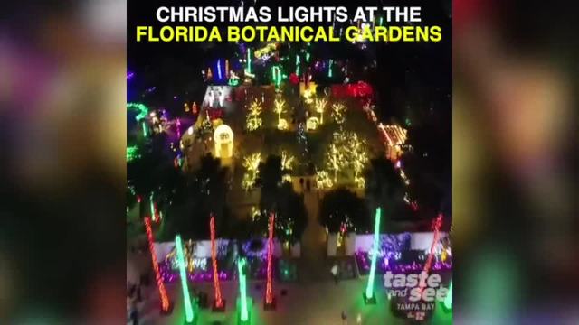 check out these christmas lights in tampa bay abcactionnews com christmas lights tampa