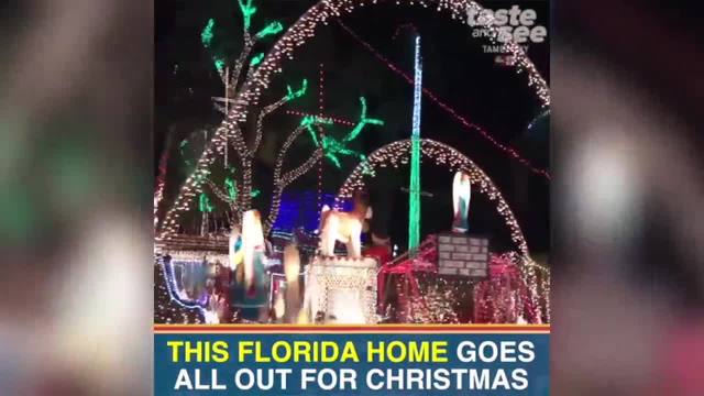 the oakdale christmas house in st pete has been featured on hgtv and the today show as one of the best christmas light displays in america - Best Christmas Light Show the oakdale christmas house in st pete has been featured on hgtv and the today show as one of the best christmas light displays in america - Best Christmas Light Show
