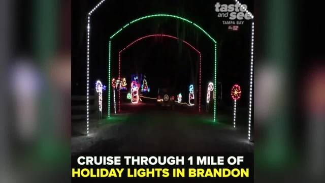 check out these christmas lights in ta bay check out these christmas lights in ta bay