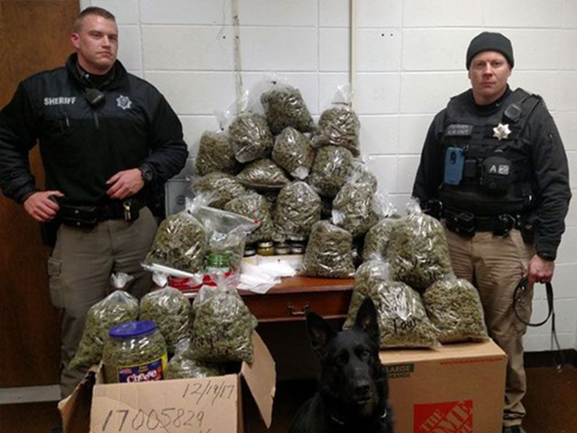 Elderly couple says 60 pounds of pot was for Christmas presents