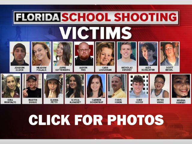 Looking for 'solutions' to mass killings? Start with punishing failure