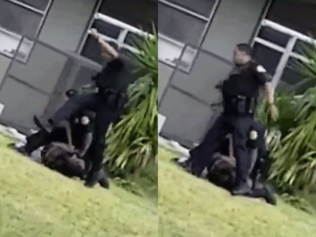 Miami Police Officer Shown In Video Kicking Suspect Is Suspended