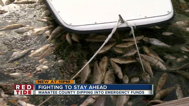 red tide found in low concentrations in or offshore tide chart fort desoto