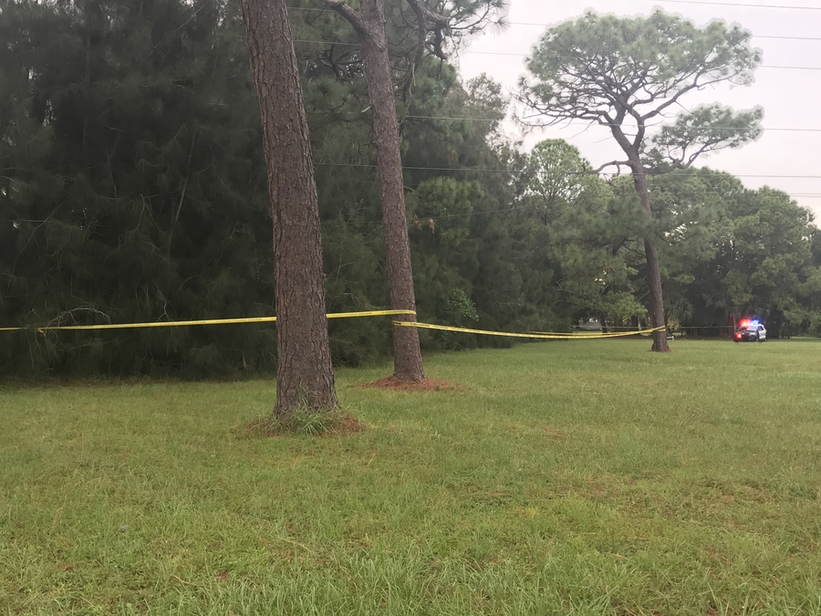 after 2-year-old in amber alert found dead in wooded area in