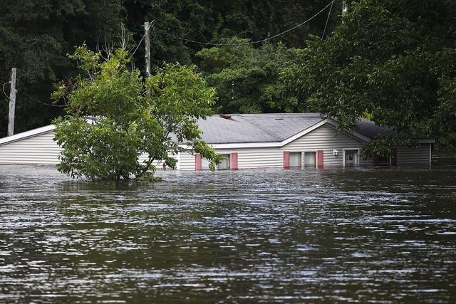 1.7 million chickens drowned in Hurricane Florence flood waters