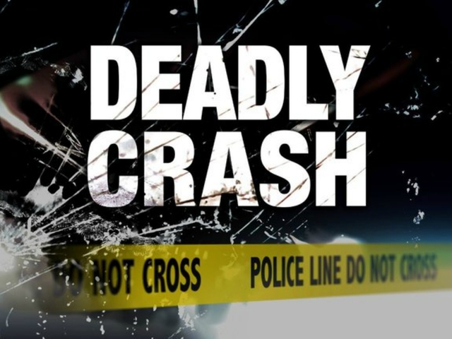 Hillsborough man dies after crashing into deputy's car, leaving scene and losing control of vehicle
