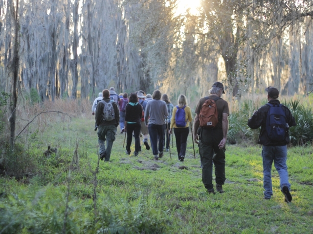 Receive a medallion for walking Hillsborough County's trails during the 2019 Hiking Spree
